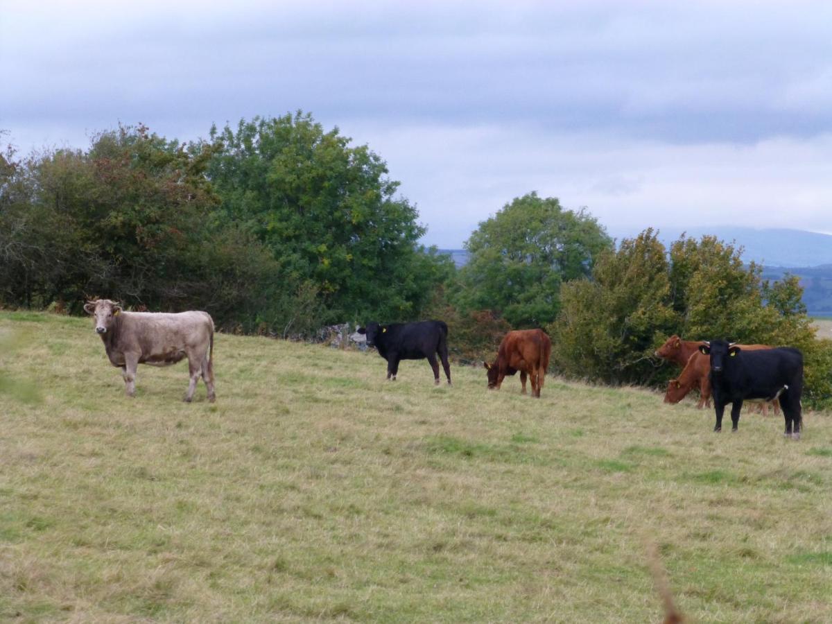Bed & Breakfast Hay-on-hye Retreat *